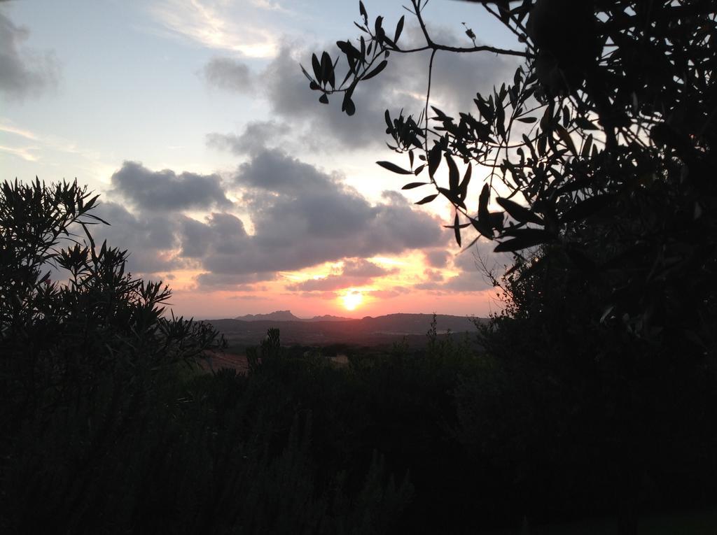 Villa Kuky Santa Teresa Gallura Zewnętrze zdjęcie